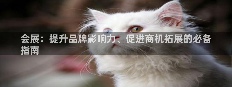 果博官方：会展：提升品牌影响力、促进商机拓展的必备
指南