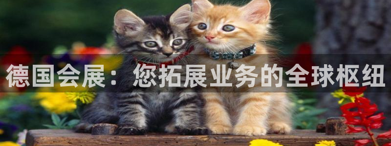 果博手机下载：德国会展：您拓展业务的全球