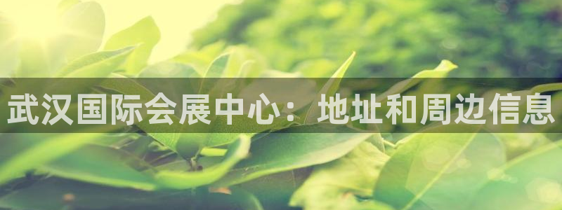果博电话：武汉国际会展中心：地址和周边信息