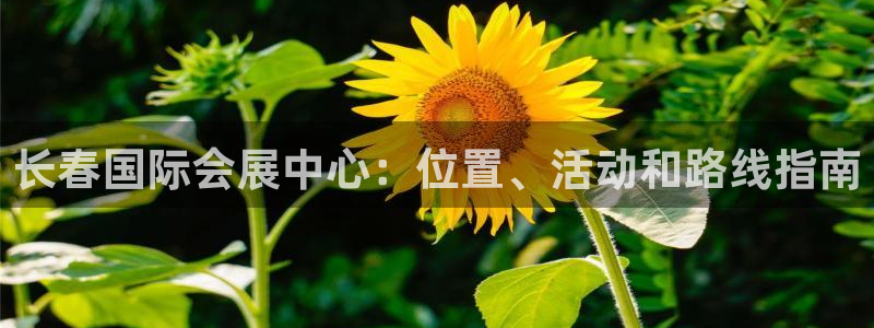果博手机版官方下载：长春国际会展中心：位置、活动和路线指南