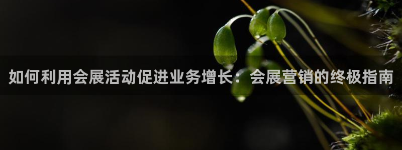 果博官网在银博：如何利用会展活动促进业务增长：会展营销的终极指南
