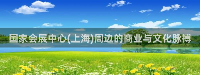 果博公司客服微信号是多少：国家会展中心(上海)周边的商业与文化脉搏