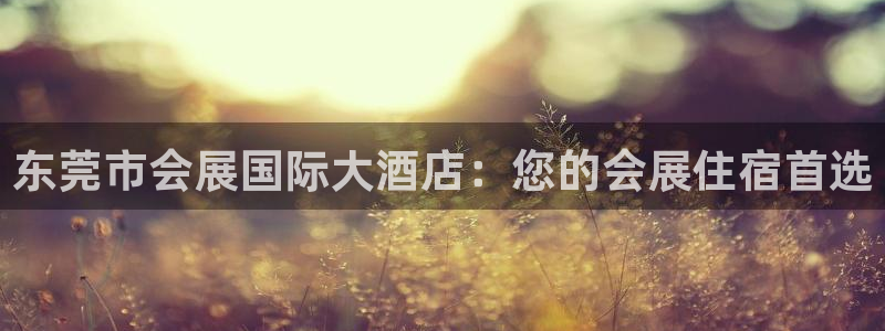 果博公司联系电话：东莞市会展国际大酒店：您的会展住宿首选