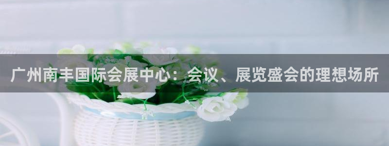 果博公司开户热线：广州南丰国际会展中心：会议、展览盛会的理想场所