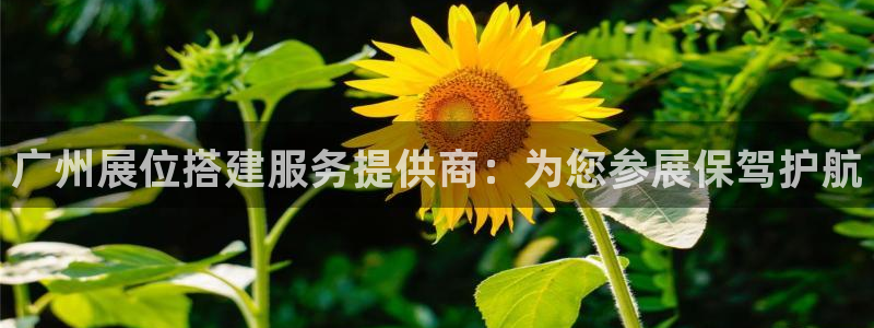 果博公司：广州展位搭建服务提供商：为您参展保驾护航