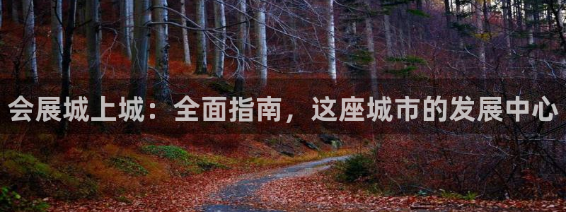 果博平台开户电话是多少：会展城上城：全面指南，这座城市的发展中心