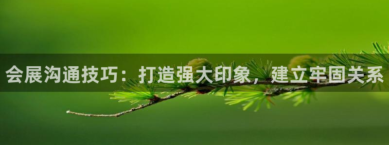 果博官方网：会展沟通技巧：打造强大印象，建立牢固关系