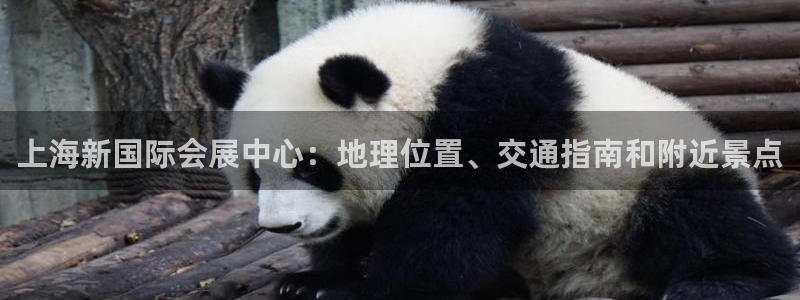 果博平台怎么下载?：上海新国际会展中心：地理位置、交通指南和附近景点
