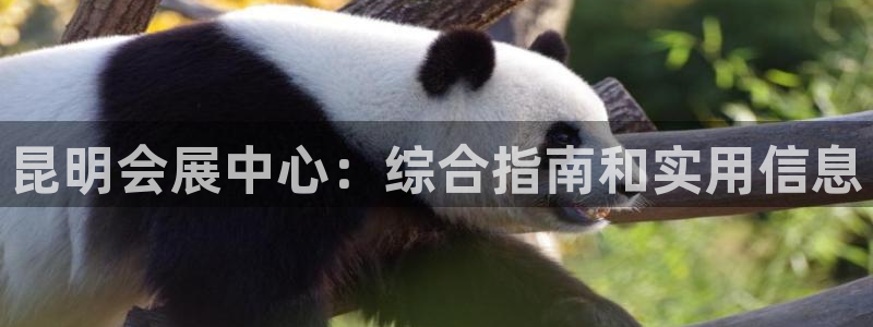 果博平台真实吗安全吗可信吗是真的吗：昆明会展中心：综合指南和实用信息