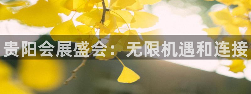 果博注册平台怎么注册的：贵阳会展盛会：无限机遇和连接