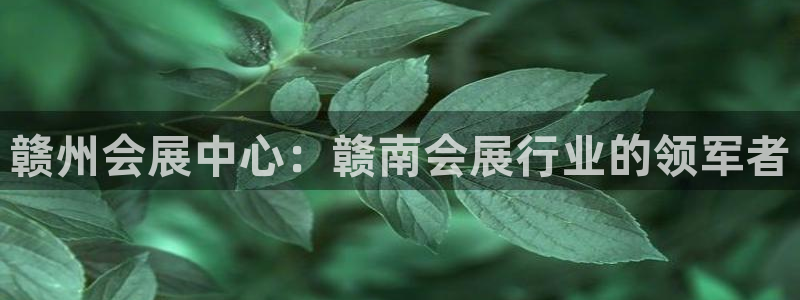 果博代理电话多少：赣州会展中心：赣南会展行业的领军者