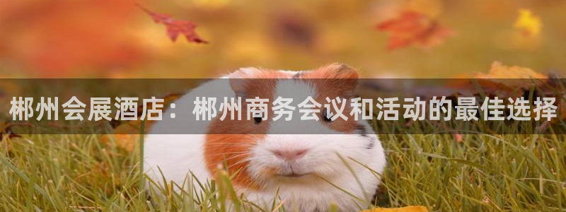 果博代理怎么注册：郴州会展酒店：郴州商务会议和活动的最佳选择