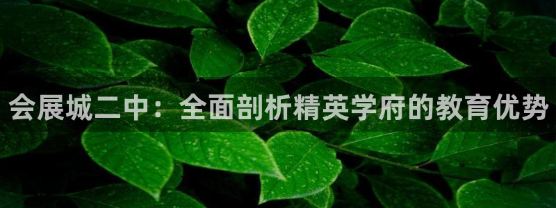 果博注册客服电话号码查询：会展城二中：全面剖析精英学府的教育优势