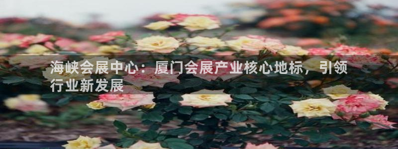 果博平台真实吗安全吗：海峡会展中心：厦门会展产业核心地标，引领
行业新发展