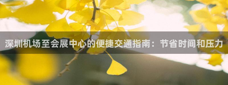 果博公司客服微信：深圳机场至会展中心的便捷交通指南：节省时间和压力
