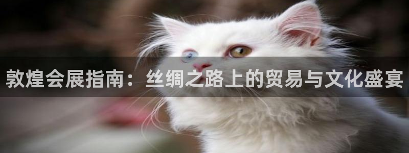 果博gbe168：敦煌会展指南：丝绸之路上的贸易与文化盛宴