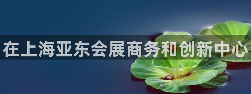果博平台链接：在上海亚东会展商务和创新中心