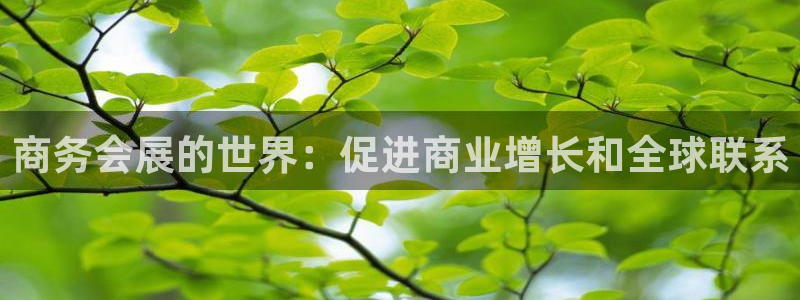 果博官方热线：商务会展的世界：促进商业增长和全球联系