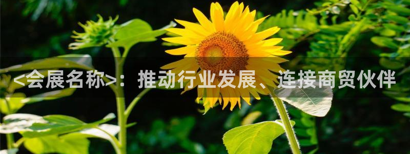 果博公司客服联系方式：<会展名称>：推动行业发展、连接商贸伙伴