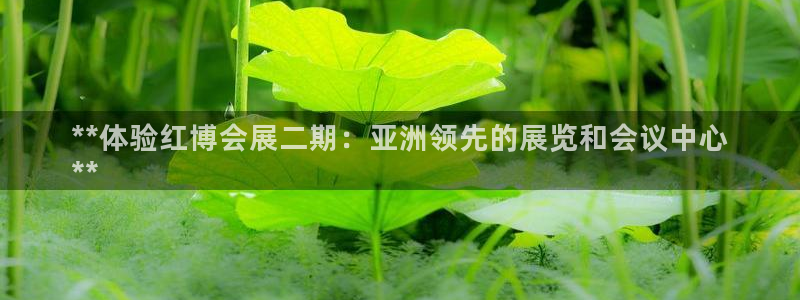 果博公司注册：**体验红博会展二期：亚洲