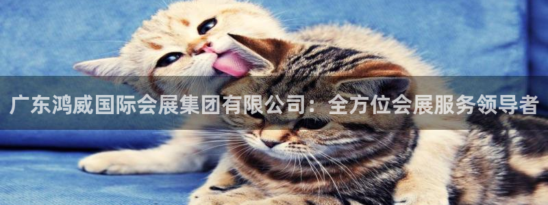 果博环保官网：广东鸿威国际会展集团有限公司：全方位会展服务领导者