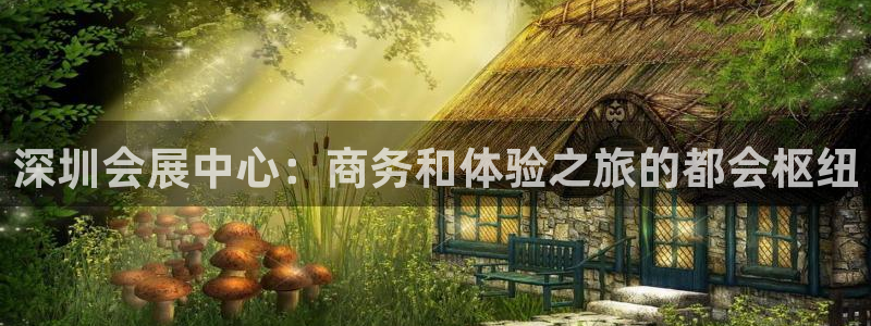 果博公司注册：深圳会展中心：商务和体验之旅的都会枢纽