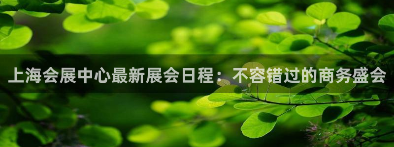 果博公司怎么注册会员：上海会展中心最新展会日程：不容错过的商务盛会