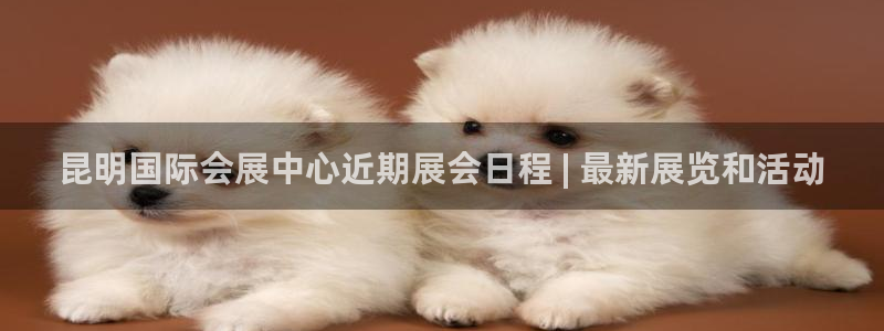 果博公司开户热线：昆明国际会展中心近期展会日程 | 最新展览和活动