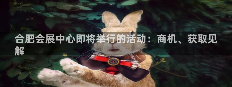 果博平台开户电话：合肥会展中心即将举行的活动：商机、获取见
解