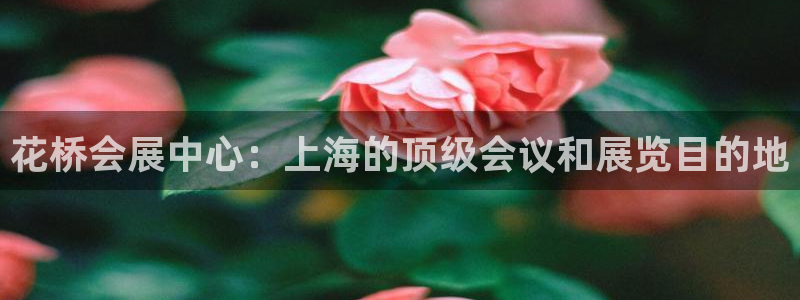 果博注册会员：花桥会展中心：上海的顶级会议和展览目的地