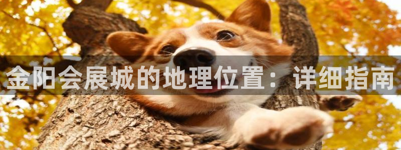 果博平台苹果电脑怎么下载