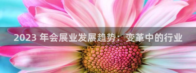 果博平台真实吗安全吗可靠吗：2023 年