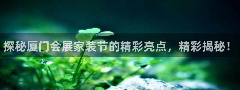 果博官网电话：探秘厦门会展家装节的精彩亮点，精彩揭秘！