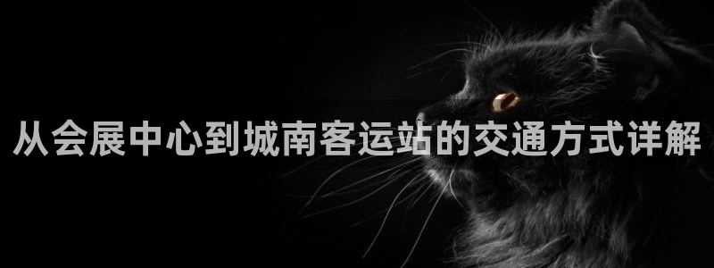 果博公司客服电话号码：从会展中心到城南客运站的交通方式详解