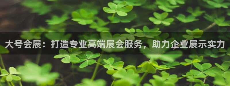 果博客服电话：大号会展：打造专业高端展会服务，助力企业展示实力
