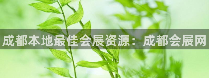 果博集团：成都本地最佳会展资源：成都会展网