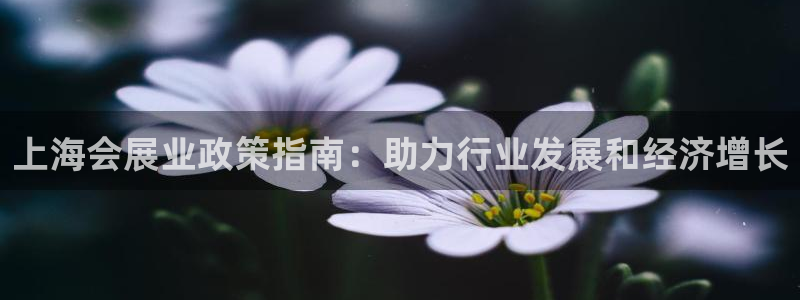 果博公司会员注册账号：上海会展业政策指南：助力行业发展和经济增长