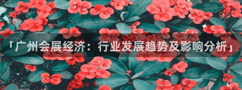 手机怎样下载果博：「广州会展经济：行业发展趋势及影响分析」