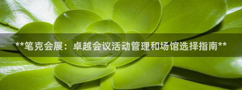 果博注册账号链接：**笔克会展：卓越会议活动管理和场馆选择指南**