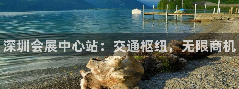 果博平台真实吗安全吗是真的吗：深圳会展中心站：交通枢纽，无限商机
