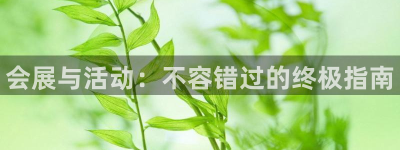 电脑怎么下载果考网：会展与活动：不容错过的终极指南