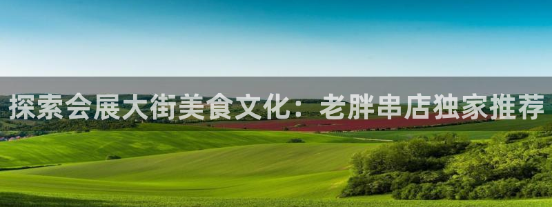 苹果手机能下载果博吗：探索会展大街美食文化：老胖串店独家推荐