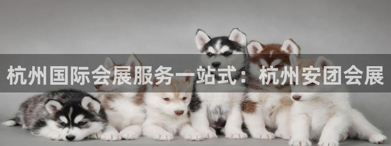 果博平台真实吗安全吗可信吗：杭州国际会展服务一站式：杭州安团会展