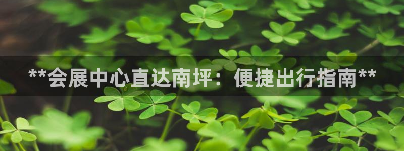果博注册会员维wckk389：**会展中心直达南坪：便捷出行指南**
