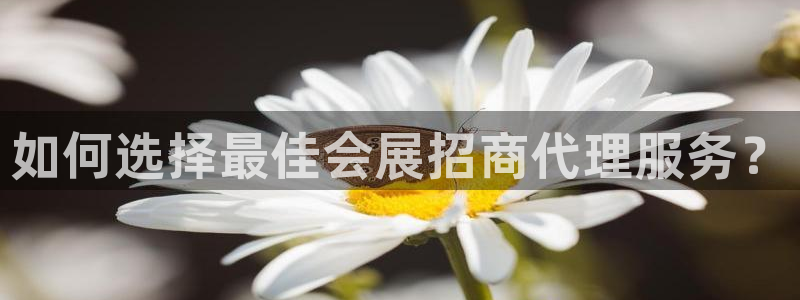 果博注册会员维wckk389：如何选择最佳会展招商代理服务？
