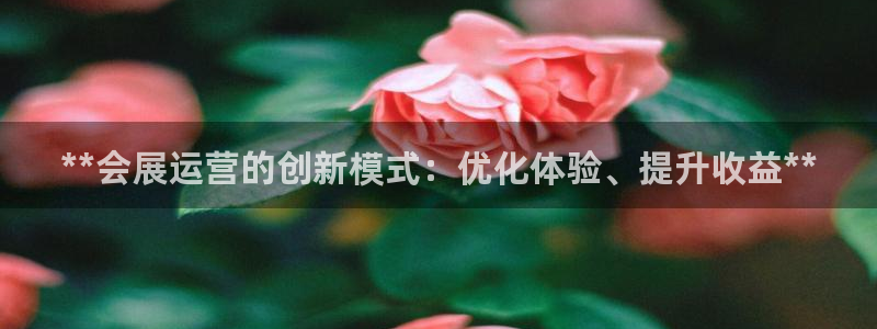 果博平台赖不赖：**会展运营的创新模式：优化体验、提升收益**