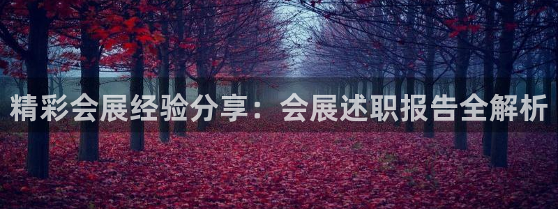 果博客服微信是多少：精彩会展经验分享：会展述职报告全解析