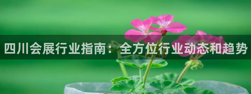 下载果博博东方：四川会展行业指南：全方位行业动态和趋势