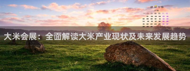 苹果手机能下载果博吗：大米会展：全面解读大米产业现状及未来发展趋势