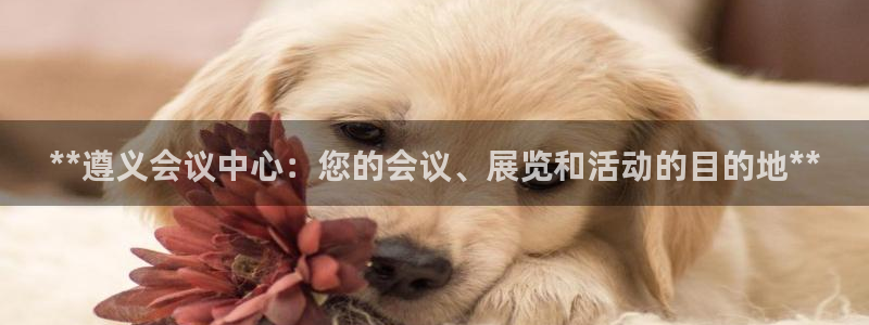 果博公司直属会员开户：**遵义会议中心：您的会议、展览和活动的目的地**